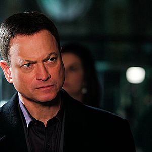 Fotoğraf Gary Sinise