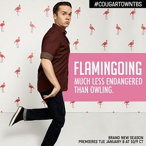 Fotoğraf Cougar Town