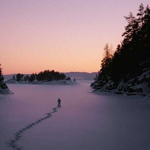 Fotoğraf Jerzy Skolimowski