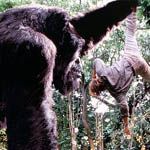 Fotoğraf Koca Bebek Joe