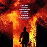 Fotoğraf Alev Kapanı