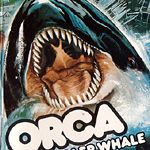 Fotoğraf Orca / Katil Balina