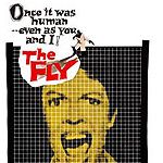 Fotoğraf The Fly