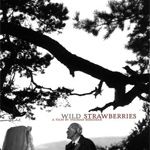 Fotoğraf Yaban Çilekleri