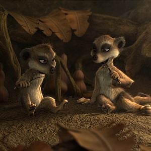 Fotoğraf Holger Tappe