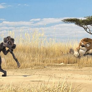 Fotoğraf Holger Tappe