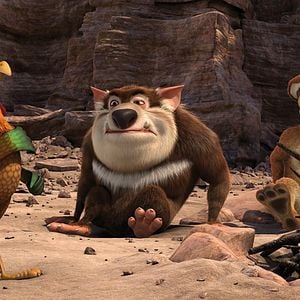 Fotoğraf Sevimli Hayvanlar