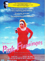 Fotoğraf Pembe Flamingolar