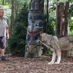 Fotoğraf Hayvan Bakıcısı