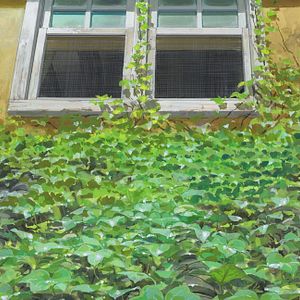 Fotoğraf Aşırıcılar