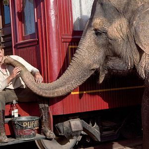 Fotoğraf Robert Pattinson