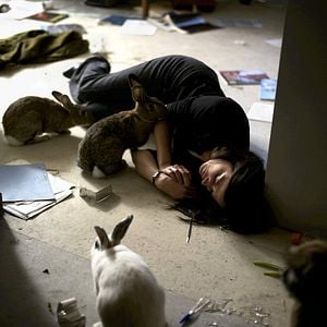 Fotoğraf Yeryüzündeki Son Aşk