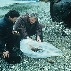 Fotoğraf Twin Peaks