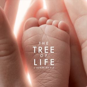 Fotoğraf Hayat Ağacı