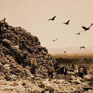 Fotoğraf Lucy Walker