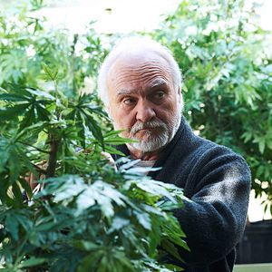 Fotoğraf Kenneth Welsh