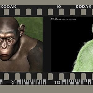 Fotoğraf Maymunlar Cehennemi: Başlangıç