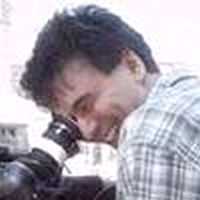 Fotoğraf Hasan Gergin