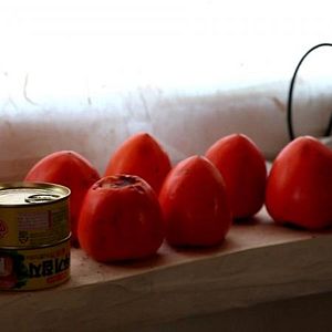 Fotoğraf Kim Ki-duk