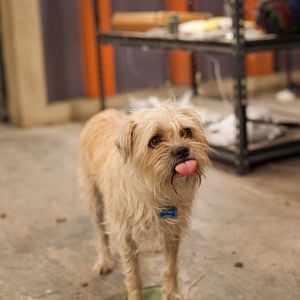 Fotoğraf Çılgın Çocuklar - 4D