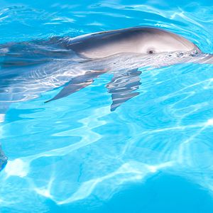 Fotoğraf Charles Martin Smith