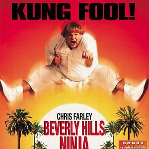 Fotoğraf Beverly Hills Ninja