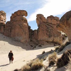 Fotoğraf Blackthorn