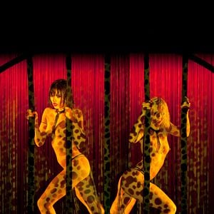 Fotoğraf Frederick Wiseman