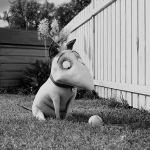 Fotoğraf Frankenweenie