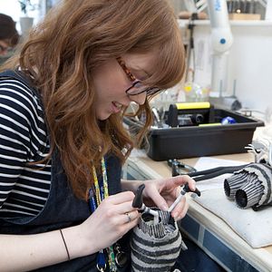 Fotoğraf Frankenweenie