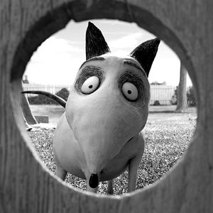Fotoğraf Frankenweenie