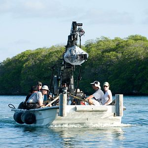 Fotoğraf The Big Year