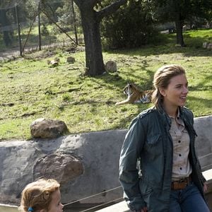 Fotoğraf Düşler Bahçesi