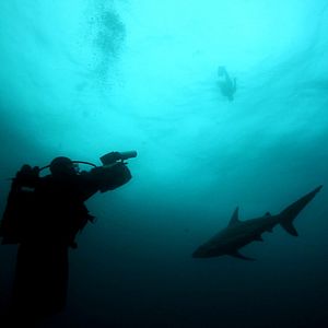 Fotoğraf John Stockwell