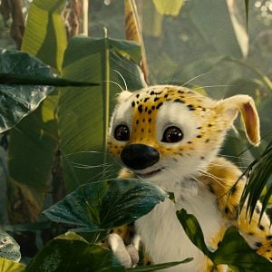 Fotoğraf Uzun Kuyruk