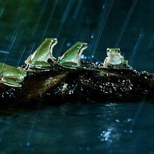 Fotoğraf Marie Pérennou