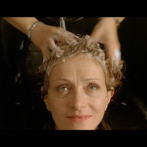 Fotoğraf Kaybolan Kedi