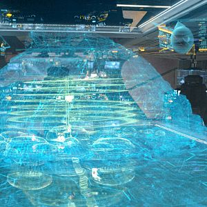 Fotoğraf Prometheus