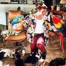 Fotoğraf Budala Dedektif