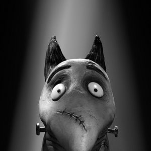 Fotoğraf Frankenweenie