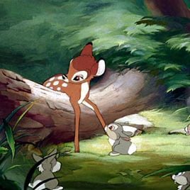 Fotoğraf Bambi
