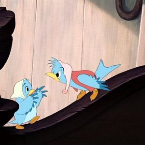 Fotoğraf Külkedisi