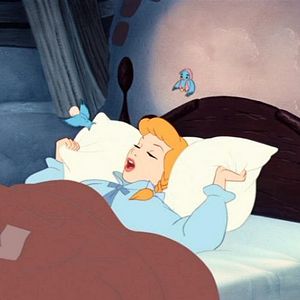 Fotoğraf Külkedisi