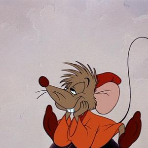 Fotoğraf Külkedisi