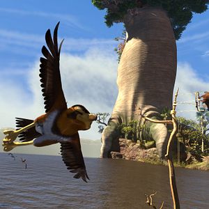 Fotoğraf Kuşlar Şehrinde Macera