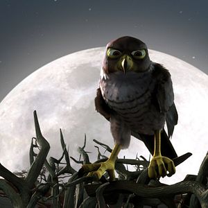 Fotoğraf Kuşlar Şehrinde Macera