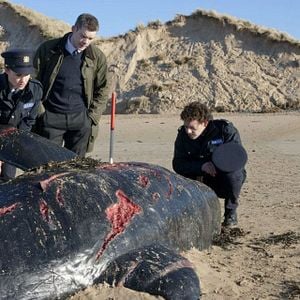 Fotoğraf Canavarlar