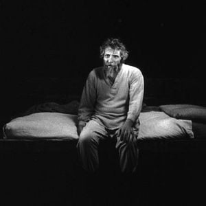 Fotoğraf A Torinói Ló