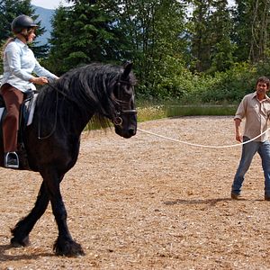 Fotoğraf The Dark Horse