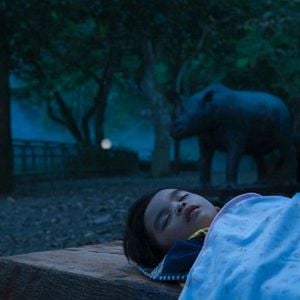 Fotoğraf Hayvanat Bahçesinden Kartpostallar